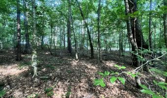 0 ANDREW JACKSON Rd 19, Alexander City, AL 35010