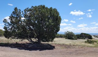 12 B Juniperwood Rnch, Ash Fork, AZ 86320