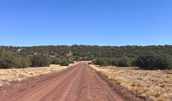 343 344 CR 8295, Concho, AZ 85924