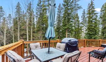 285 DAVIS Ct, Blue River, CO 80424