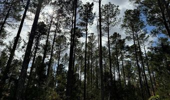 02 Seneca St Ext, Calhoun Falls, SC 29628