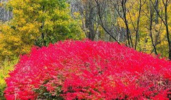 18 Demers St, Berlin, NH 03570