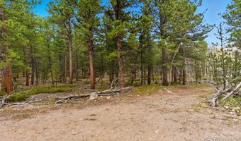 County Road 84 W, Allenspark, CO 80510