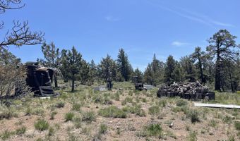 Beaver Lane 37, Bonanza, OR 97623