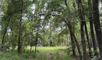 Tbd NW 67TH BOULEVARD, Alachua, FL 32615