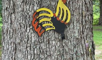 9891 Baskerville Rd, Baskerville, VA 23915