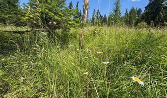 13643 Sundance Trl, Bigfork, MT 59911