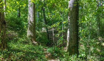 5 Orrinel Way, Asheville, NC 28806
