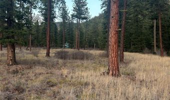 50 Bernie Rd, Alberton, MT 59820