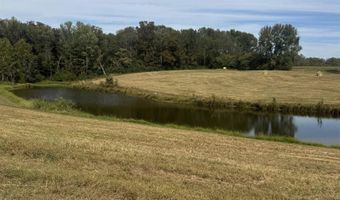 12954 Al Hwy 69 N, Baileyton, AL 35019