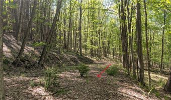 East River Road lot 5, Andes, NY 13731