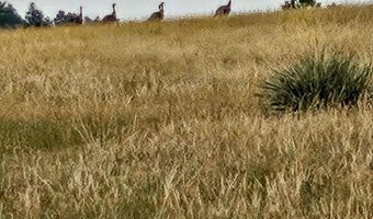 480 Spring Creek Rd, Baker, MT 59336