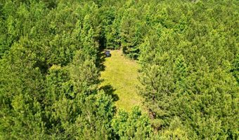 AL HWY 223, Banks, AL 36005