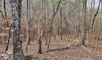 8648 Groundhog Rd, Adger, AL 35006