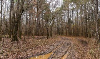 Maddox Road, Ackerman, MS 39735