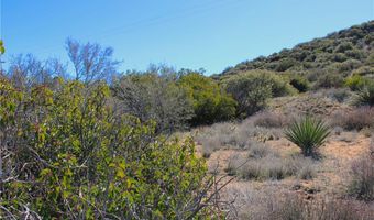 8 Table Mountain Truck Trl, Anza, CA 92539