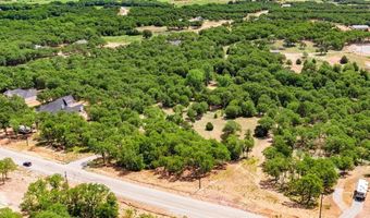 310 Rolling Bnd, Alvord, TX 76225