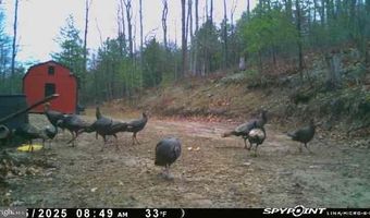 ADVENT Drive, Augusta, WV 26704