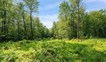 115 Stone Hill Rd, Bolton, VT 05477