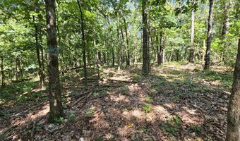 65 Acres Plainview Rd, Anderson, MO 64831