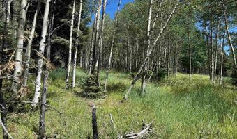 Lot 1012 El Camino Real, Angel Fire, NM 87710