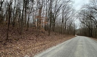 DOHERTY STORE RD, Big Sandy, TN 38221