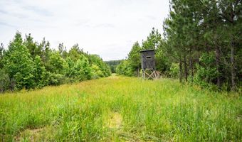 7399 Amon Hill Rd, Bastrop, LA 71220