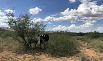 240 AC Off Ironwood Rd, Cochise, AZ 85606