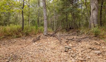 229 County Road 314, Alton, MO 65606