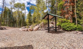 310 N Scenic Dr, Brian Head, UT 84719