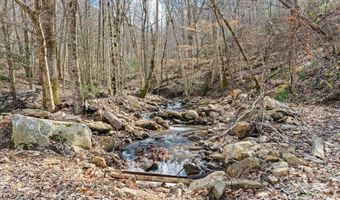 140 Wild Mountain Ln, Barnardsville, NC 28709