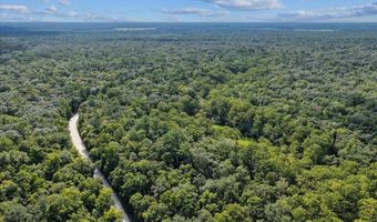 0000 73rd Way, Bell, FL 32619