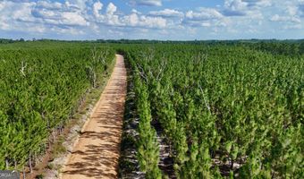 Penny Morris Road, Baxley, GA 31513