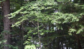 Pine Cliff Road, Alstead, NH 03602