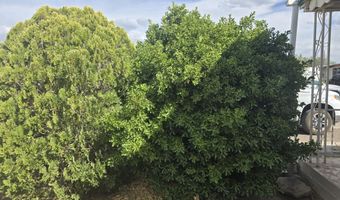 402 Aspen Street Lot 28 29 30, Carrizozo, NM 88301