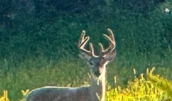 TBD Bear Pen Rd, Arkansaw, WI 54721