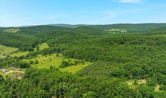 2647 BEN SAVILLE Rd, Augusta, WV 26704