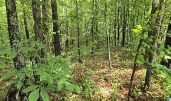 0 CRAGFORD Rd, Ashland, AL 36251