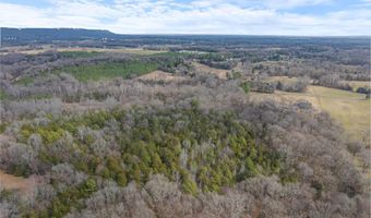 262 Reed Loop, Atkins, AR 72823