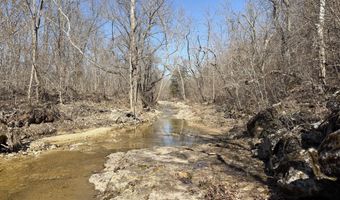 Rt 1 County Rd 14-531, Ava, MO 65608