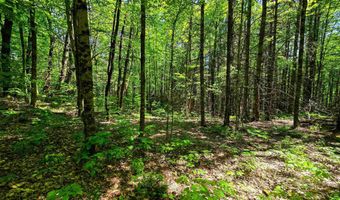 1905 Camp Munn Rd, Bradford, VT 05033