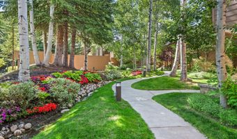 155 Lone Pine Road Unit /River Bluff C2 /River Bluff C2, Aspen, CO 81611