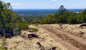 74 County Road 8056, Concho, AZ 85924