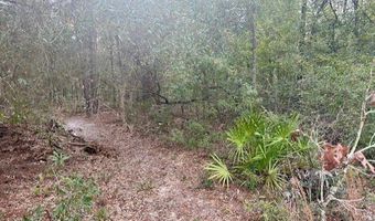 NW 11th Ave, Bell, FL 32619