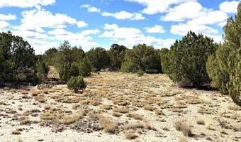 5 Clubhouse Ln, Concho, AZ 85924