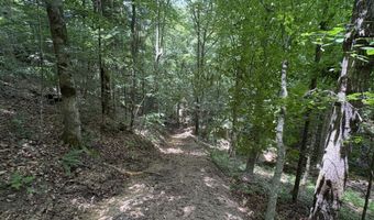 643 Pine Grove Rd, Beattyville, KY 41311