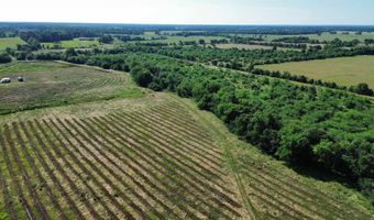 Pine Prairie Rd, Ashdown, AR 71822