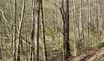 9999 Eastridge Branch Rd, Barbourville, KY 40906