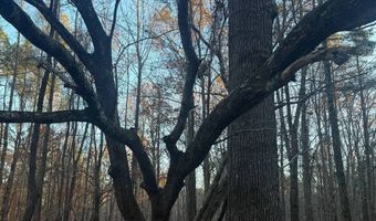 15548 Highway 15 N, Ackerman, MS 39735
