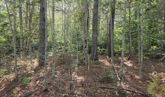 Back Searsport Road, Belfast, ME 04915